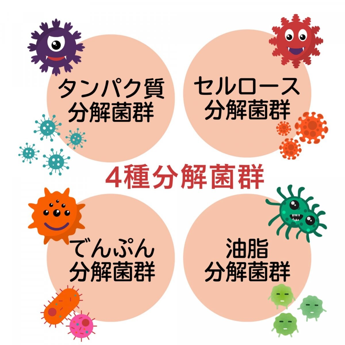 エグゼクティブ・ガット(腸)解析コンサルティング