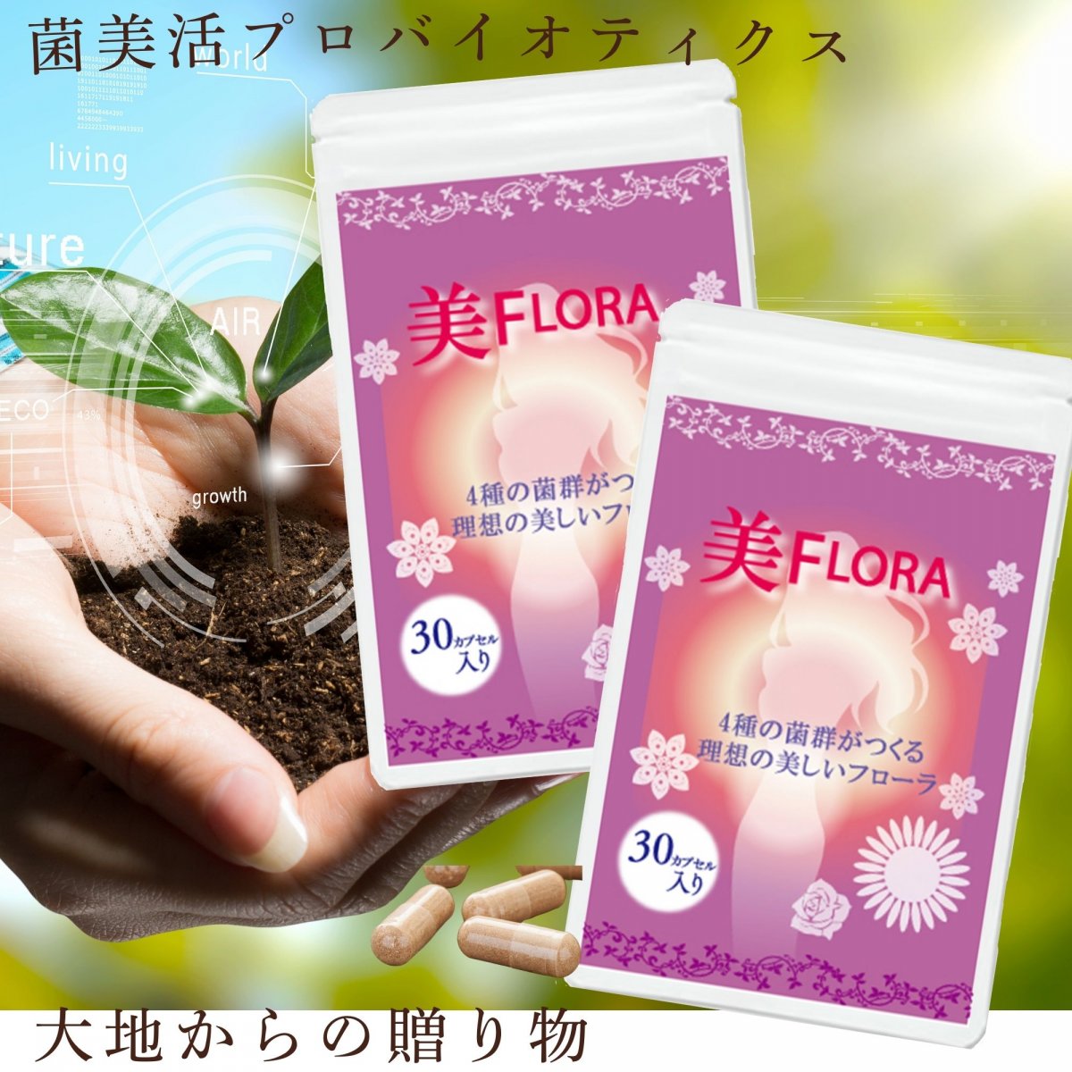 エグゼクティブ・ガット(腸)解析コンサルティング