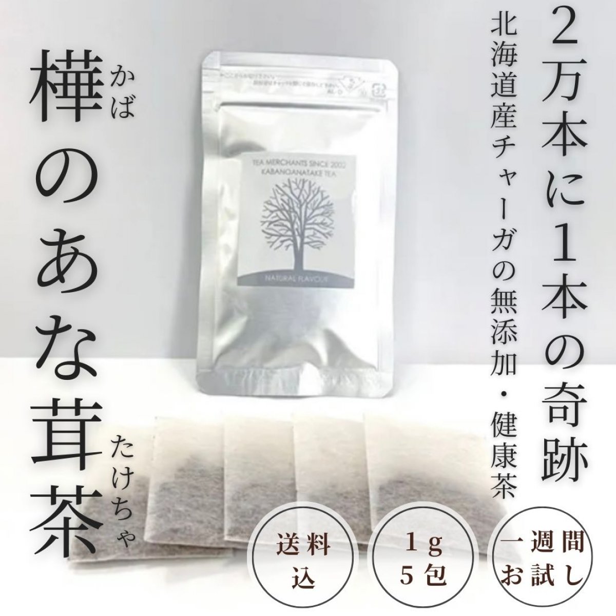 送料込]樺のあな茸茶(1g×5包)お試しサイズ/チャーガとも呼ばれる北海道