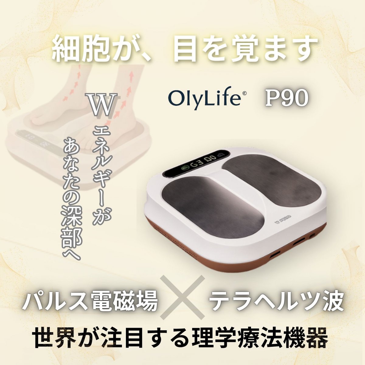 オリーライフ社／理学療法機器P90