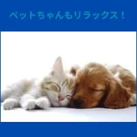 リラクトン