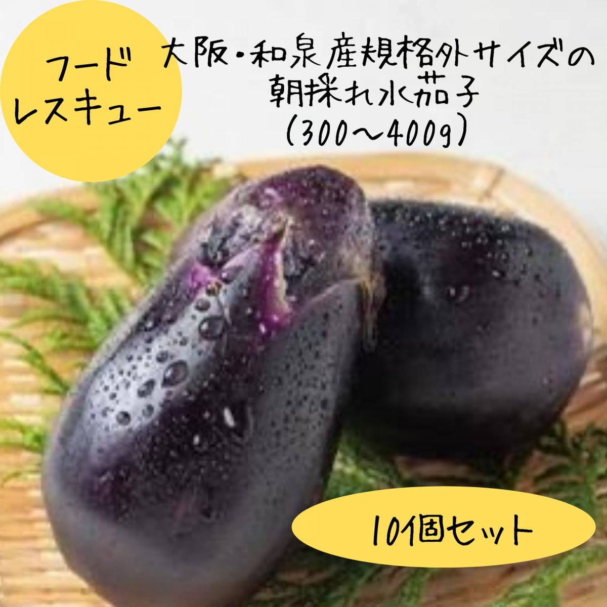 泉州産水なす/フードレスキュー/大阪・和泉産/規格外サイズの朝採れ水茄子(300〜400g)10個セット/全国送料一律500円クール便300円/ポイント10%還元!