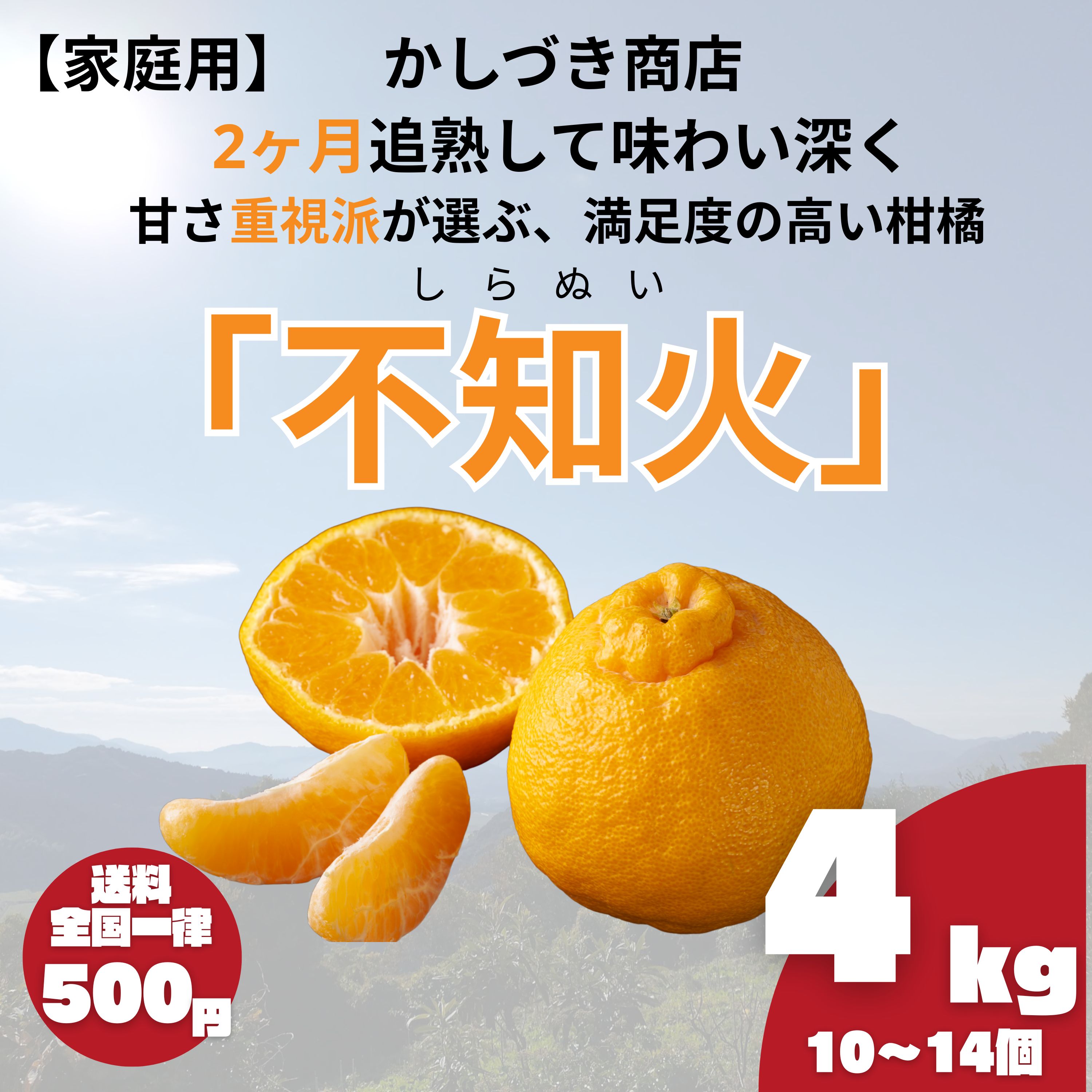 家庭用】2ヶ月追熟 不知火 4kg｜佐賀県多久市｜減農薬・家族基準