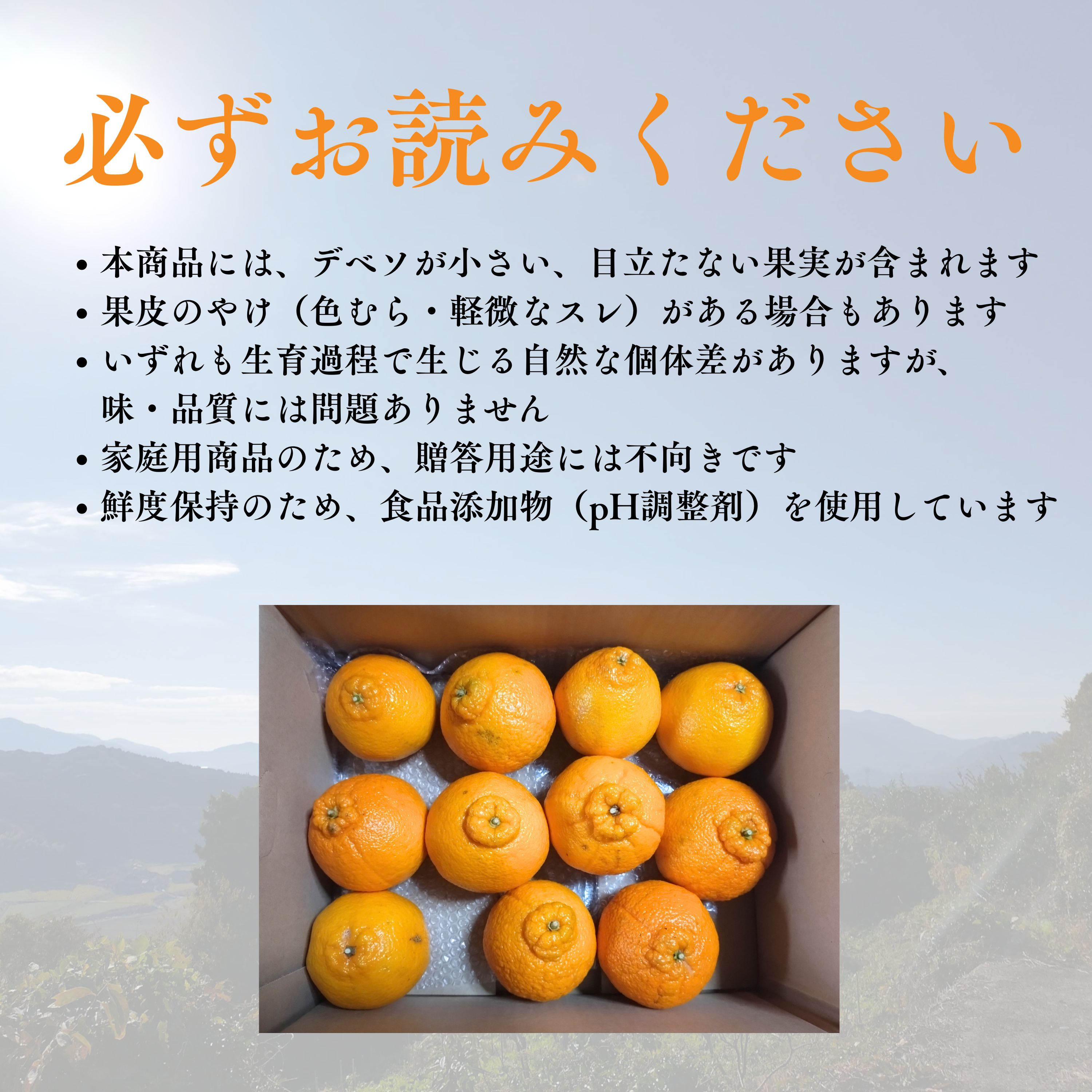 家庭用】2ヶ月追熟 不知火 4kg｜佐賀県多久市｜減農薬・家族基準