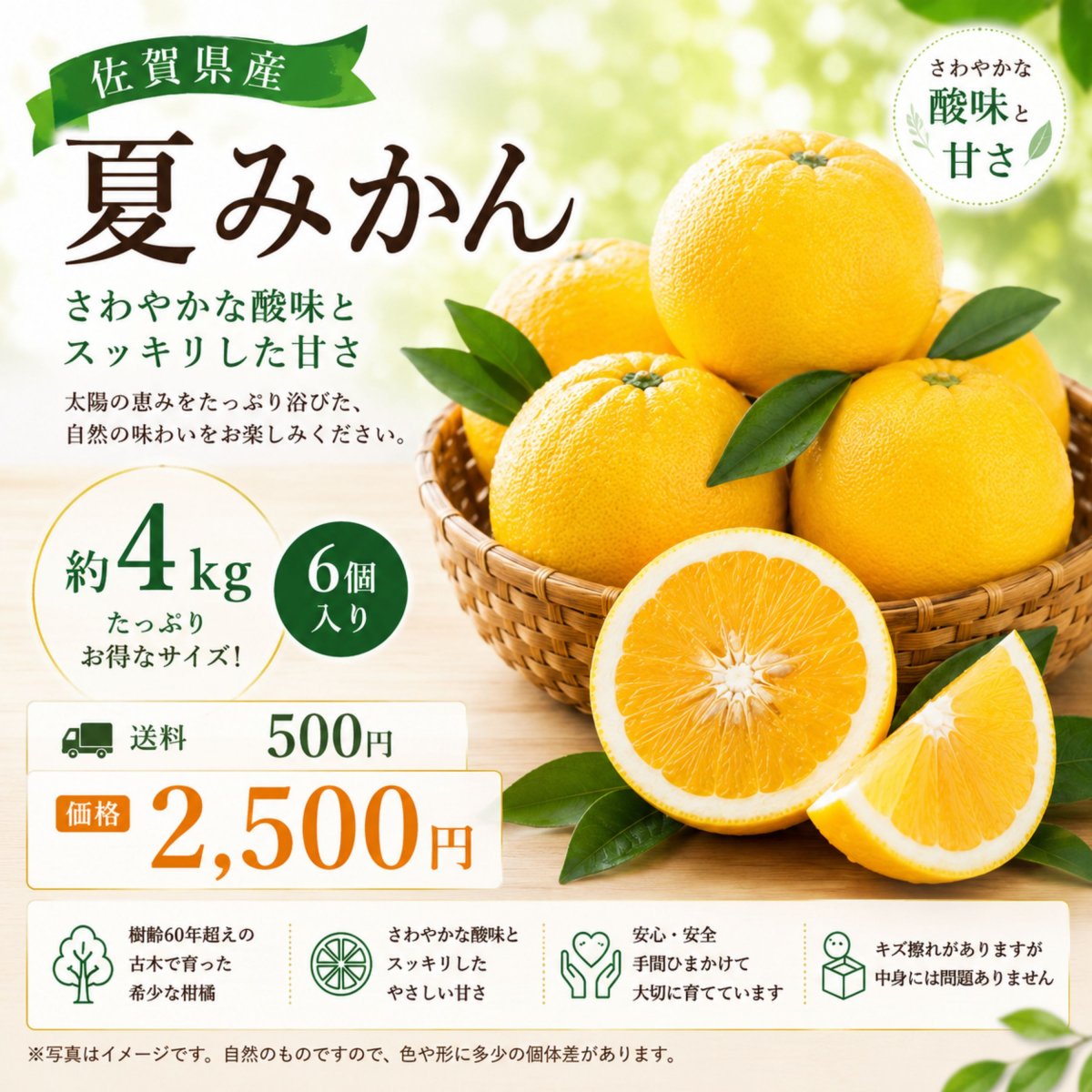 ツクツク!!!通販