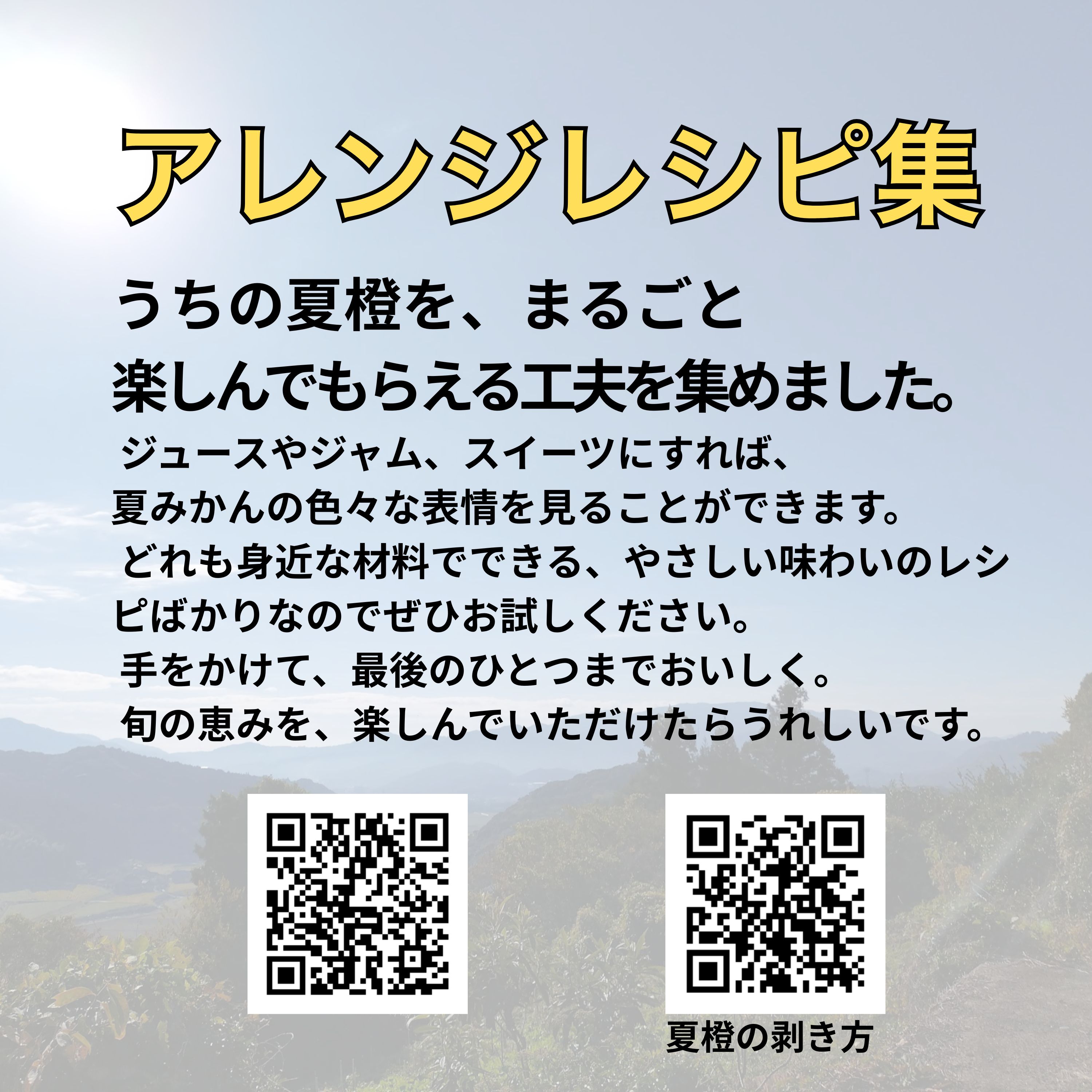 数量限定家庭用】樹齢60年以上夏みかん 夏橙 約4kg 6個｜佐賀県多久