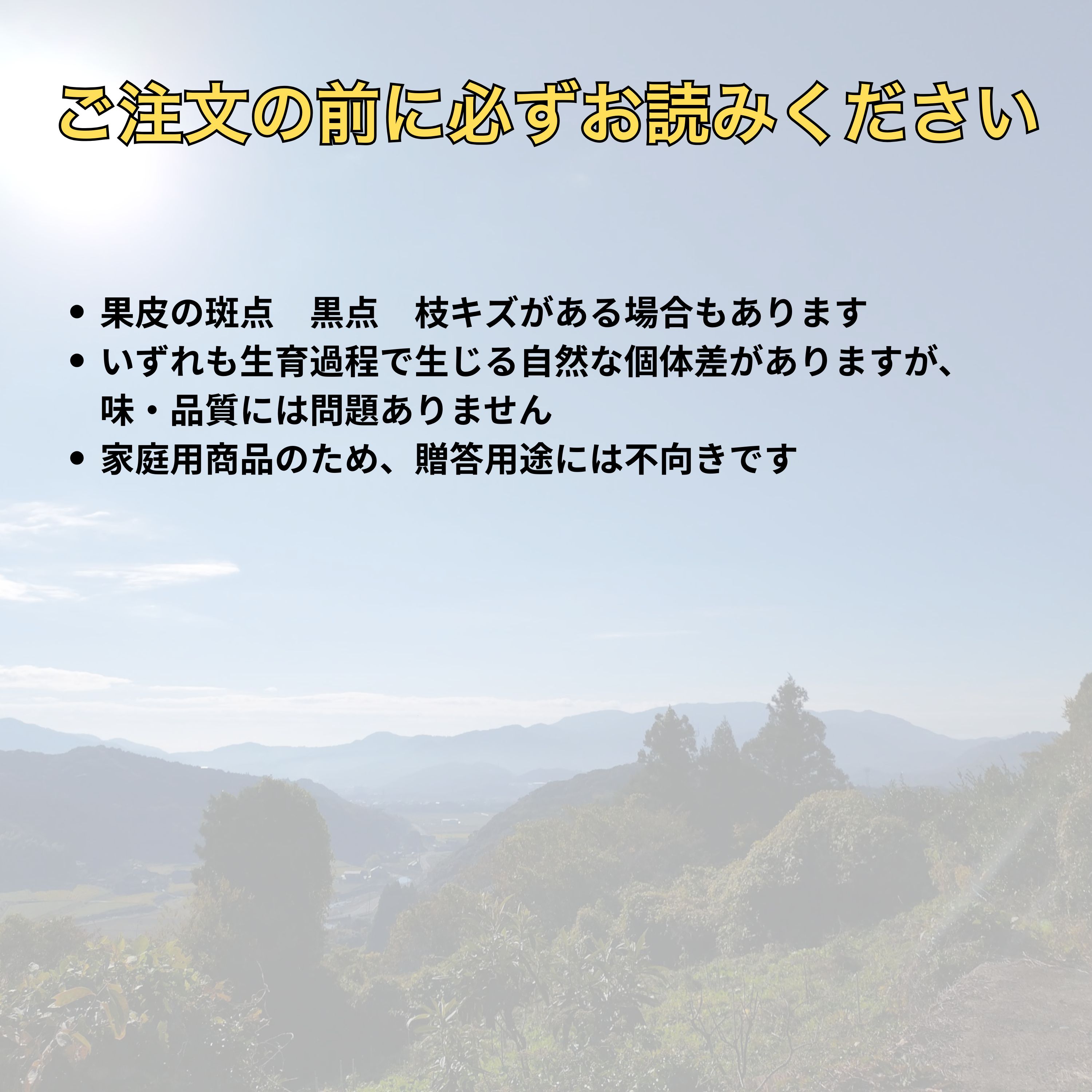 数量限定家庭用】樹齢60年以上夏みかん 夏橙 約4kg 6個｜佐賀県多久