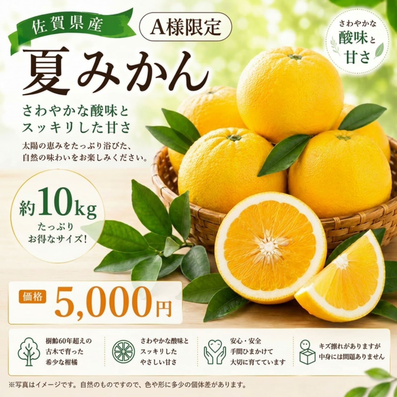 A様限定】 引換券 夏みかん 10kg - かしづき商店｜佐賀県多久市の柑橘