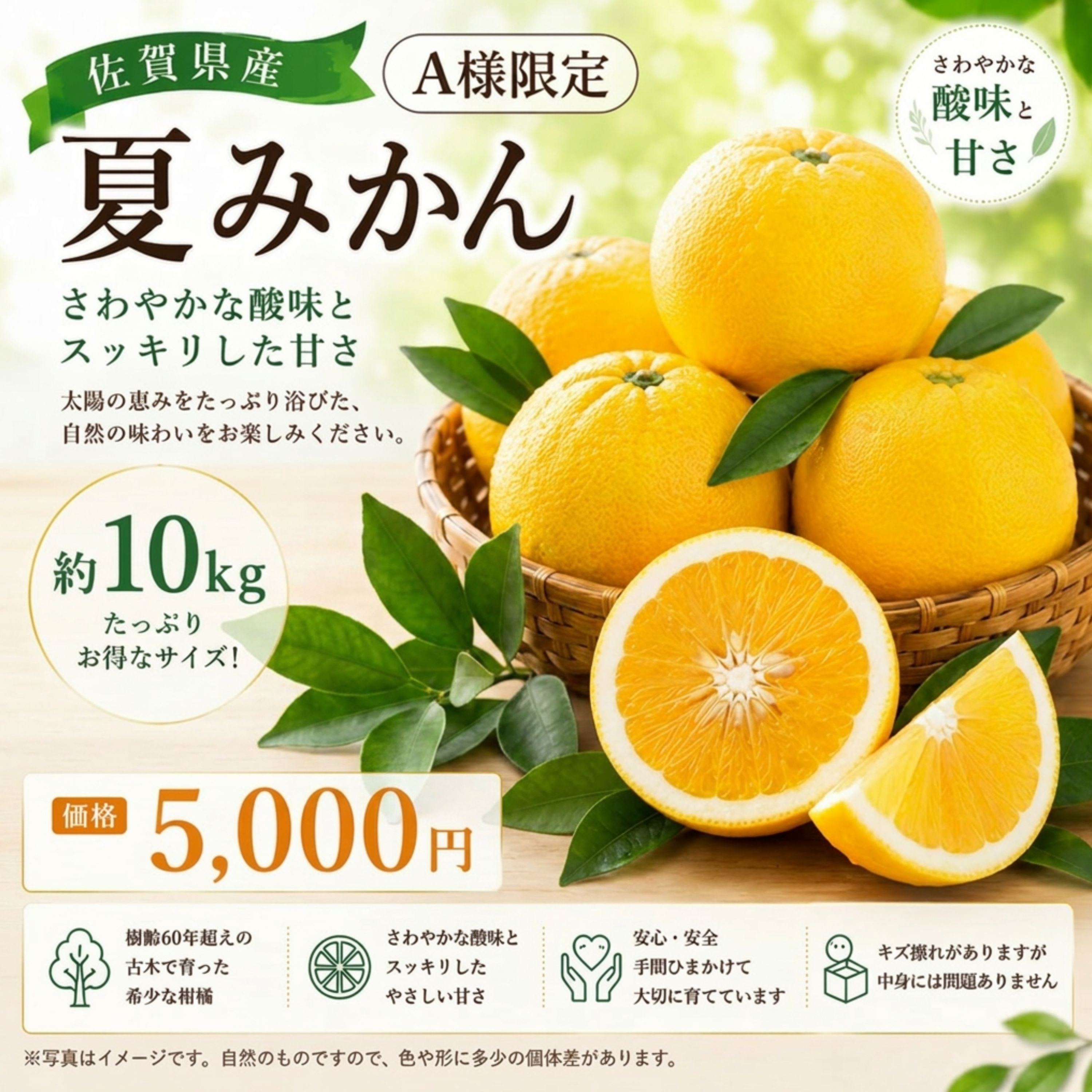 A様限定】 引換券 夏みかん 10kg - かしづき商店｜佐賀県多久市の柑橘