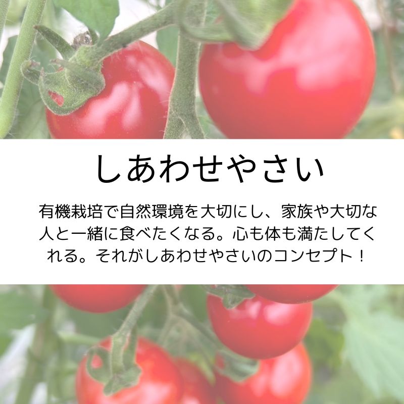 M様専用高ポイント！北海道栗山町鈴木農場【有機ミニトマト使用