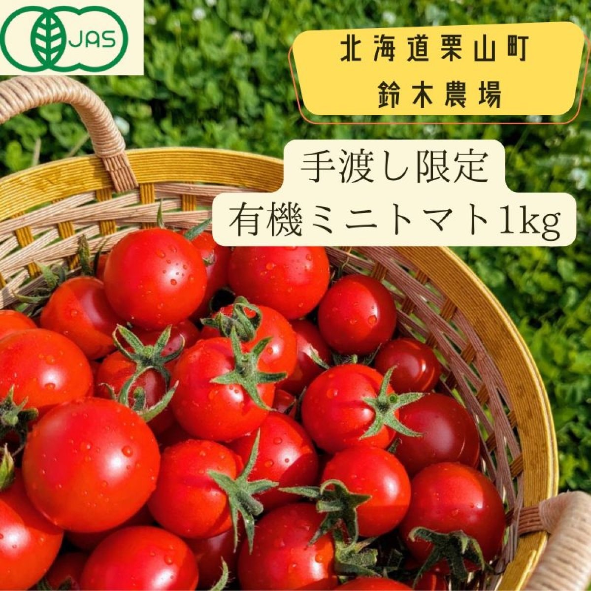 しあわせやさい 鈴木農場有機ミニトマト/オーガニック/公式通販/産地直送