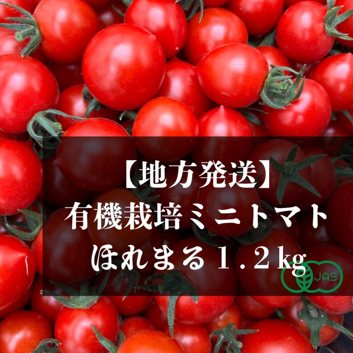 しあわせやさい 鈴木農場有機ミニトマト/オーガニック/公式通販/産地直送