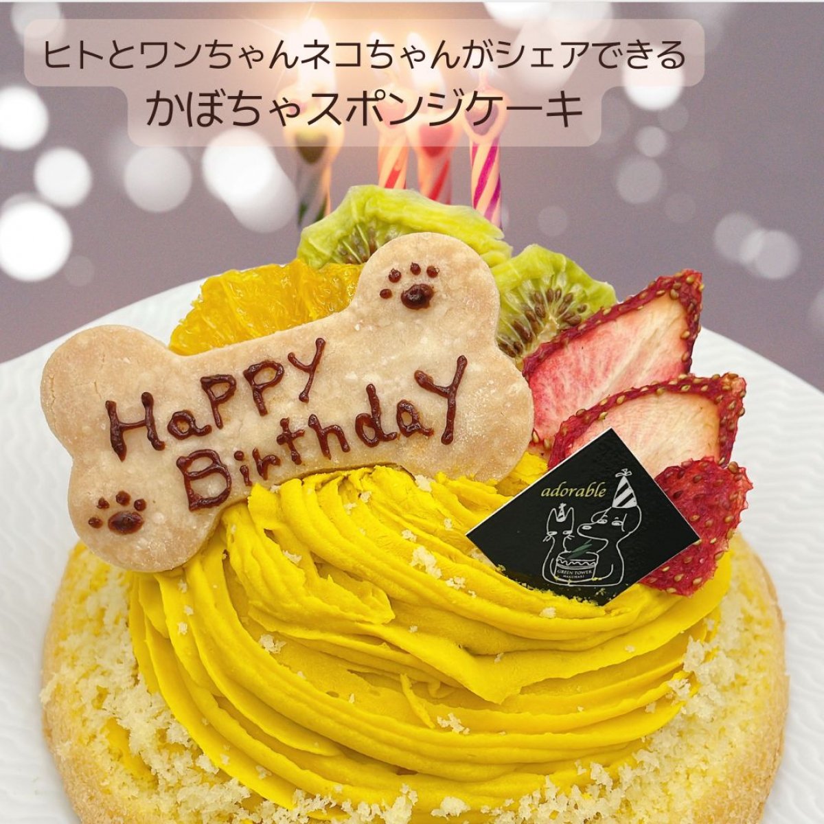 ペット飼料お菓子作り Kelly & Co's 猫用総合栄養食 サーモン＆チキンフォーミュラ | Kishi
