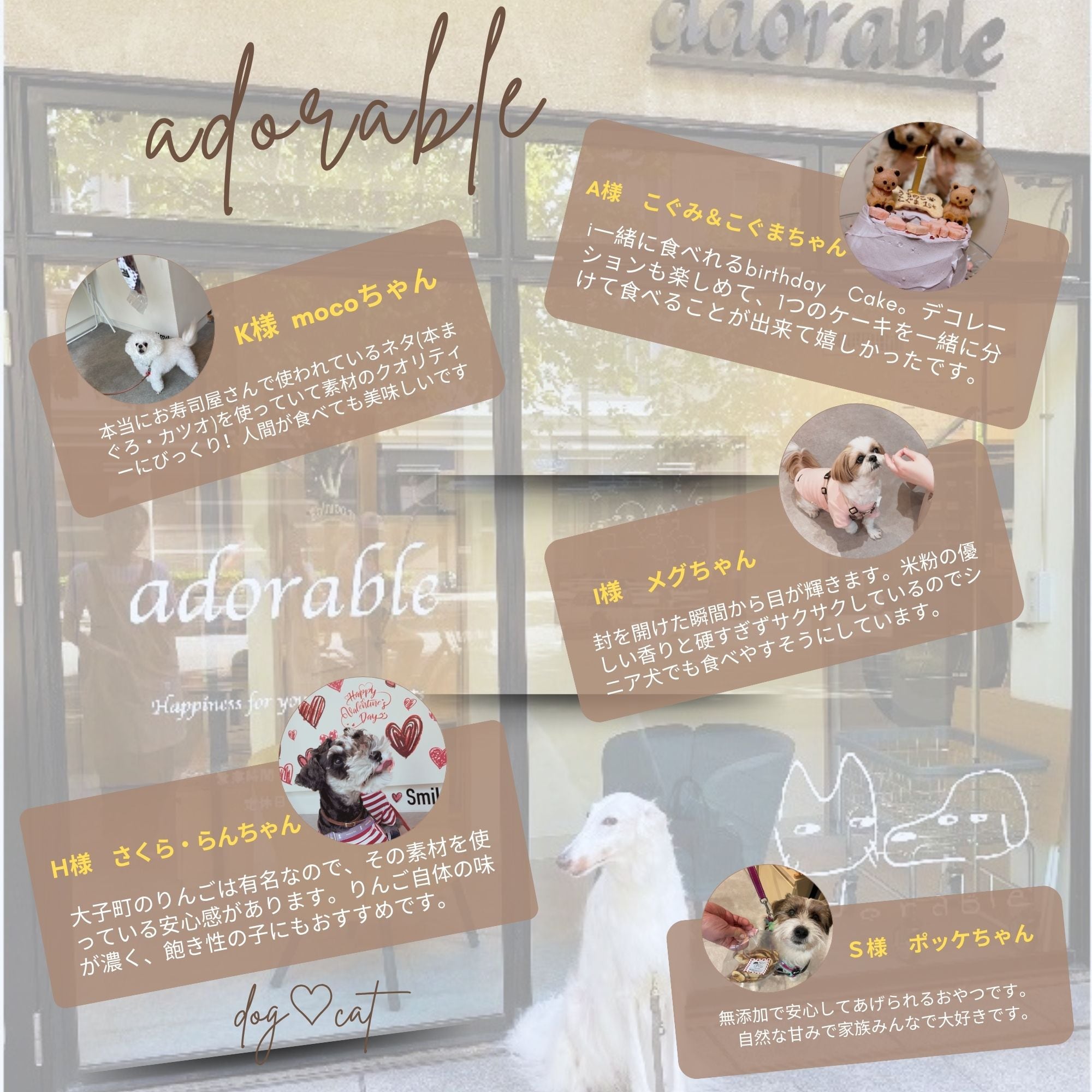 こぐまのこぐ様確認用 ジャッキーのおでかけ , おいけの中の かえる 