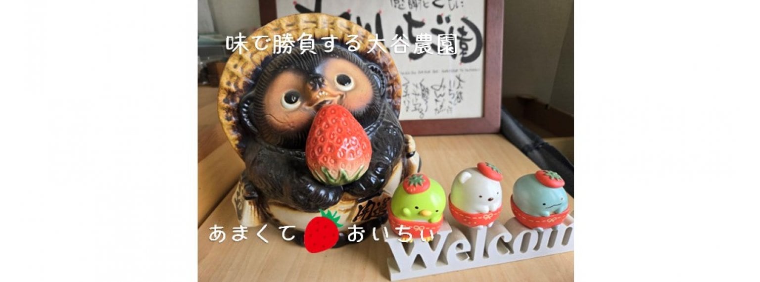 いちご狩り｜大人（中学生以上）