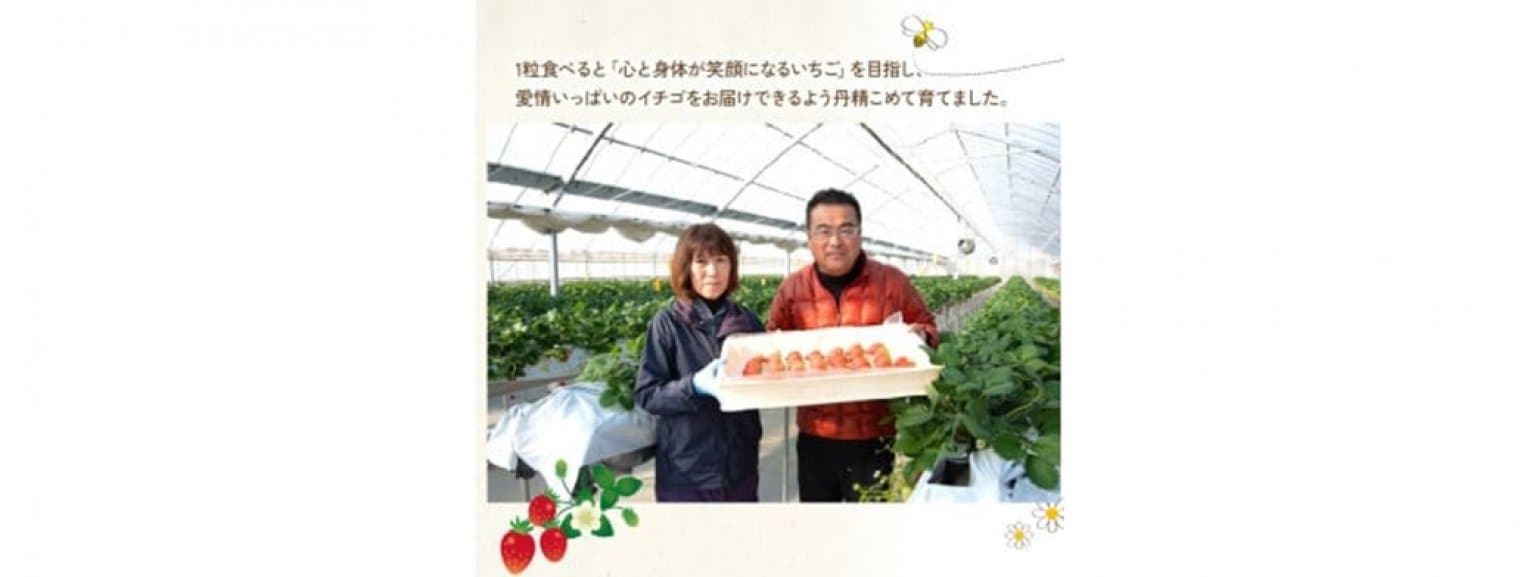 いちご狩り｜大人（中学生以上）