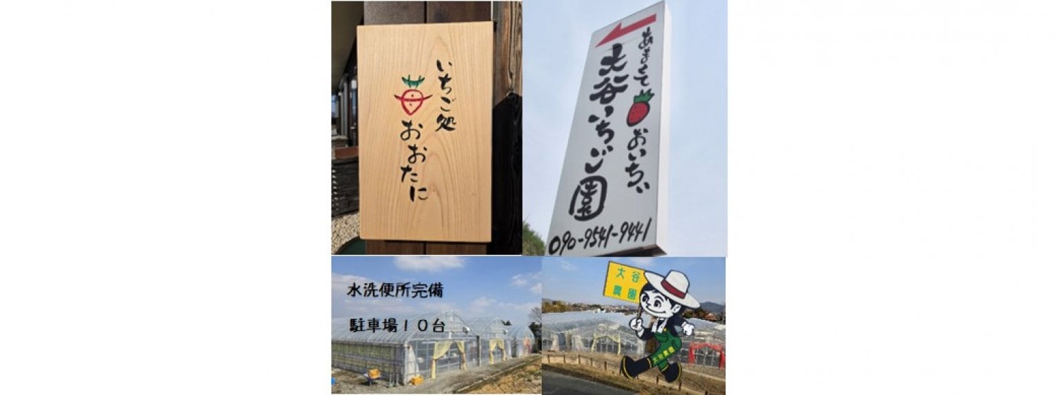 いちご狩り｜大人（中学生以上）