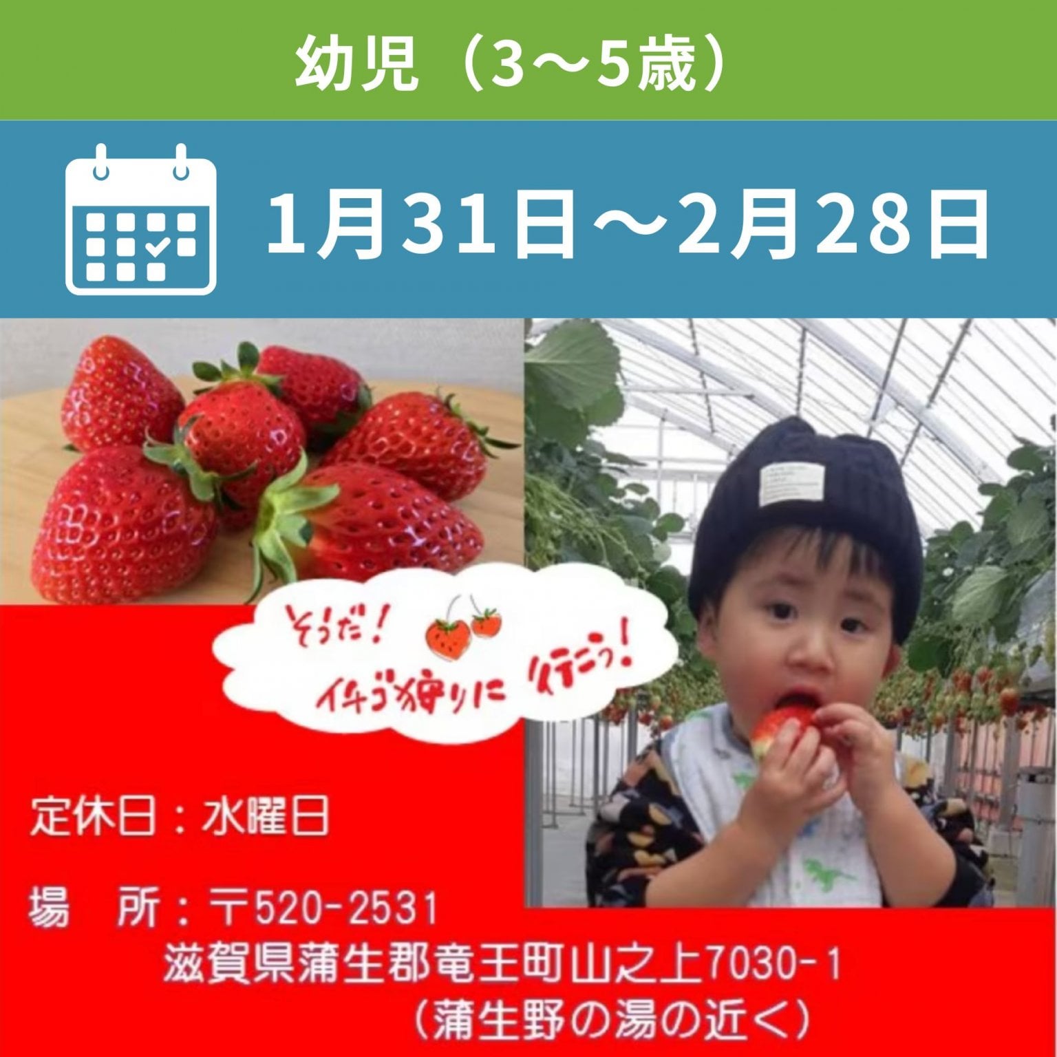 いちご狩り｜幼児（３歳～５歳）