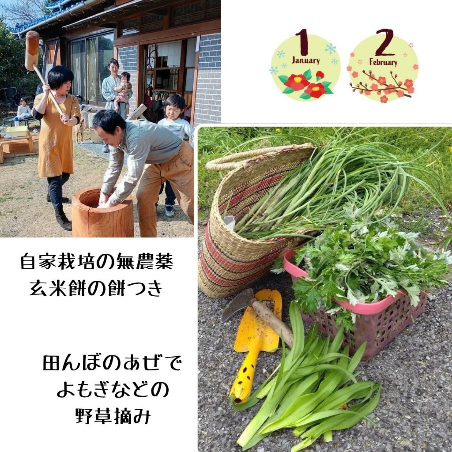 【高ポイント】季節のガスなし農家生活体験 千葉県鋸南町 ワークショップ 田舎暮らし ファームステイ  大人・子ども（4歳から）同一料金