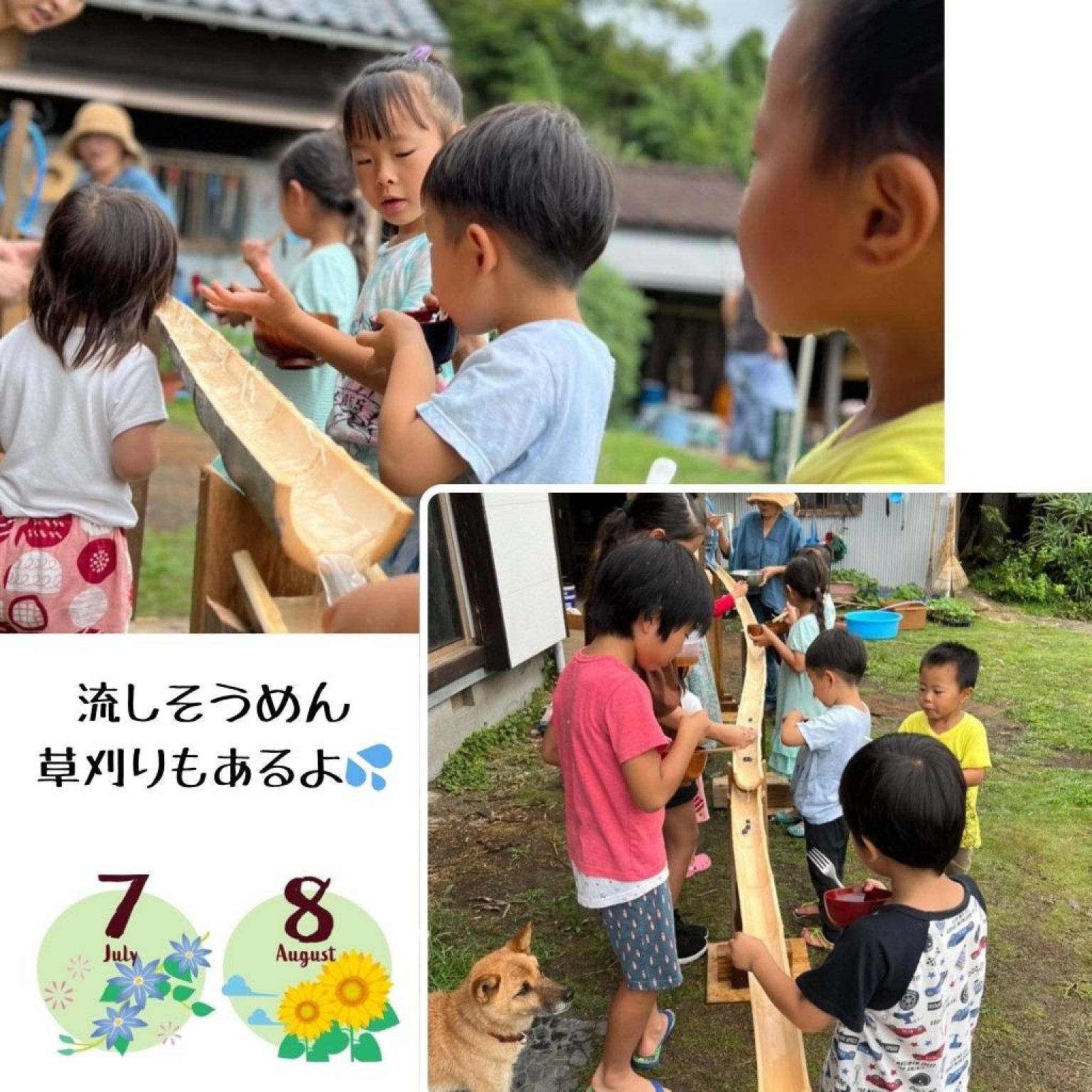 【高ポイント】季節のガスなし農家生活体験 千葉県鋸南町 ワークショップ 田舎暮らし ファームステイ  大人・子ども（4歳から）同一料金