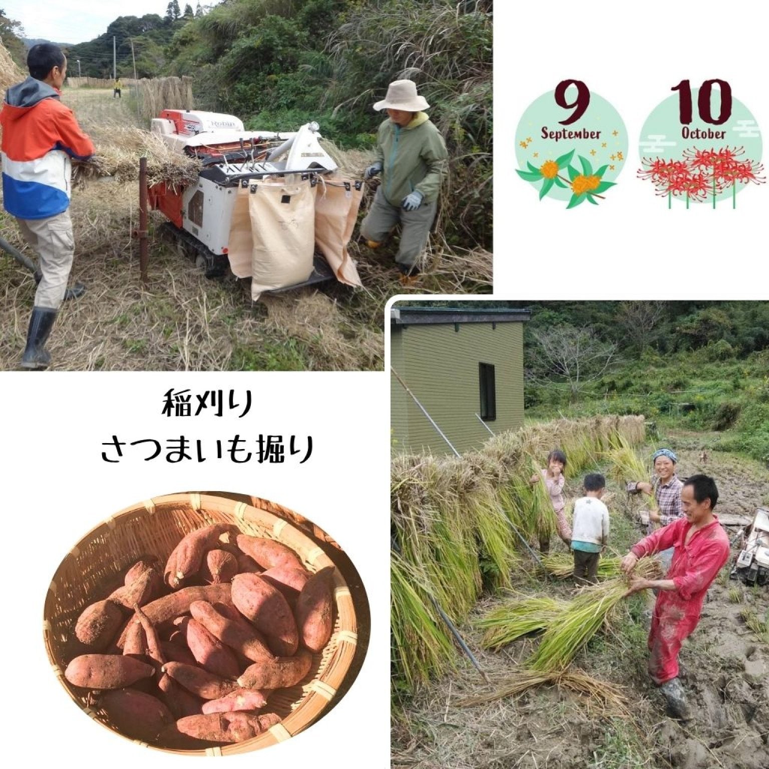 【高ポイント】季節のガスなし農家生活体験 千葉県鋸南町 ワークショップ 田舎暮らし ファームステイ  大人・子ども（4歳から）同一料金