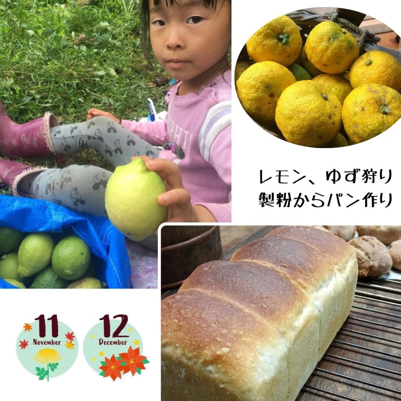 【高ポイント】季節のガスなし農家生活体験 千葉県鋸南町 ワークショップ 田舎暮らし ファームステイ  大人・子ども（4歳から）同一料金