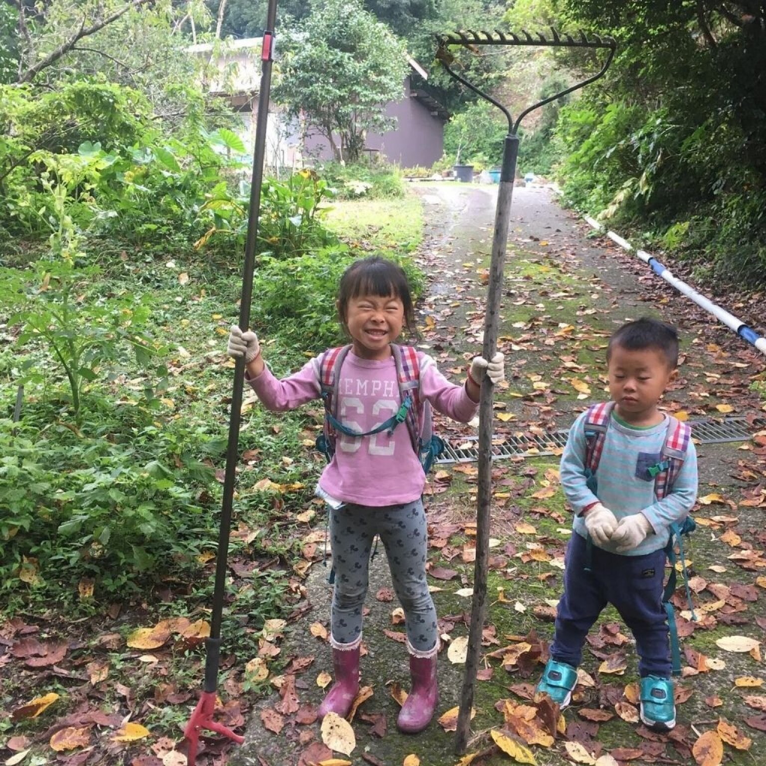 【高ポイント】季節のガスなし農家生活体験 千葉県鋸南町 ワークショップ 田舎暮らし ファームステイ  大人・子ども（4歳から）同一料金
