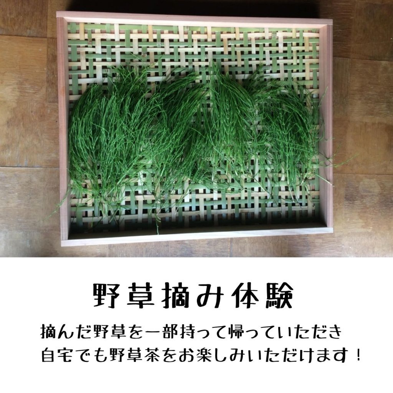 【高ポイント】季節のガスなし農家生活体験 千葉県鋸南町 ワークショップ 田舎暮らし ファームステイ  大人・子ども（4歳から）同一料金