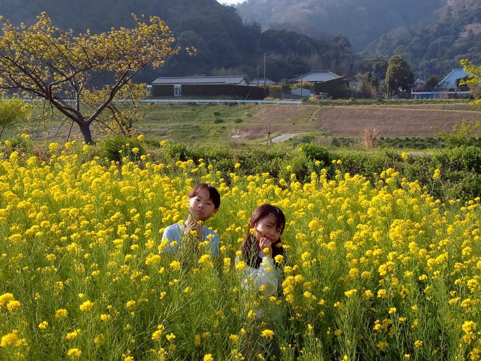 【1000円分】ゆず屋応援チケット 移住者応援 千葉県鋸南町 子だくさん応援 ガスなし半自給自足 薪ストーブ生活 おそうじチケット