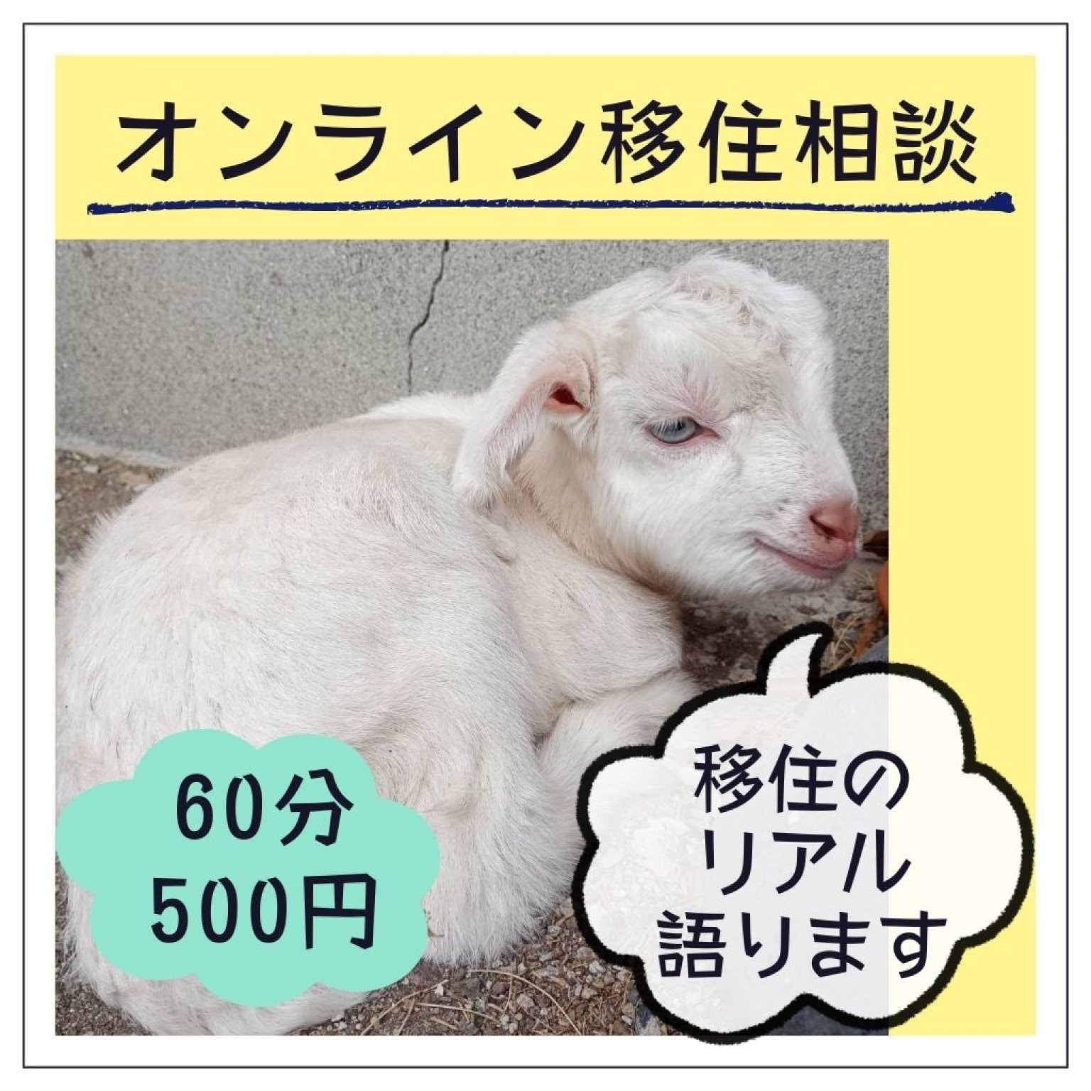 オンライン移住相談 60分 《にぎやか家族の田舎でのびのび子育て・移住のリアル》をお伝えします！