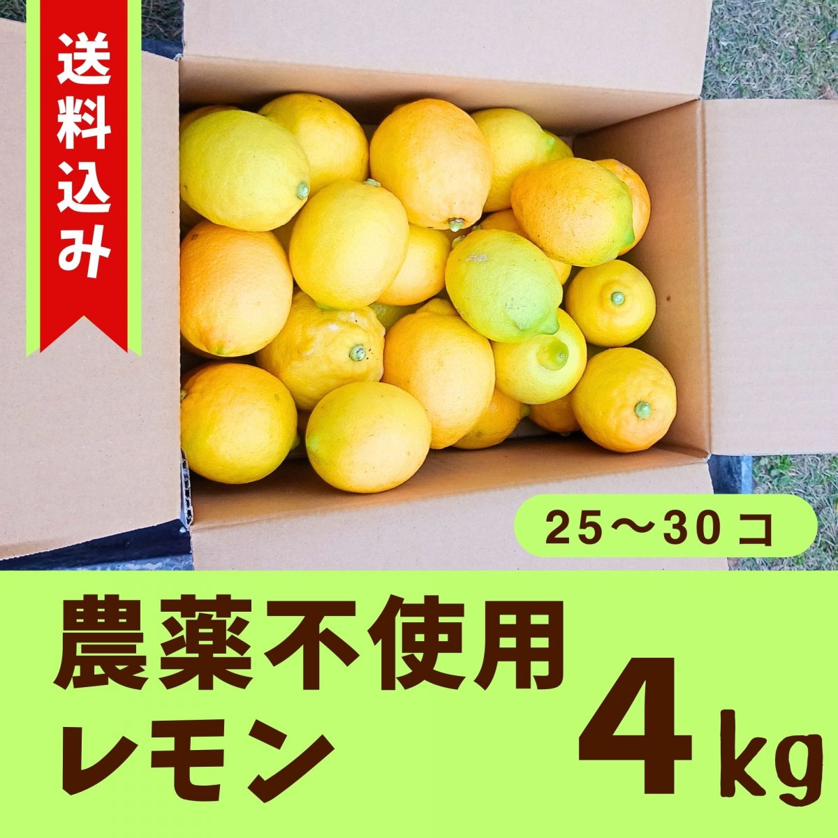 【送料込み】【高ポイント】農薬不使用レモン 4kg 千葉県鋸南町産 週末農家ゆず屋 ヤマト80サイズ