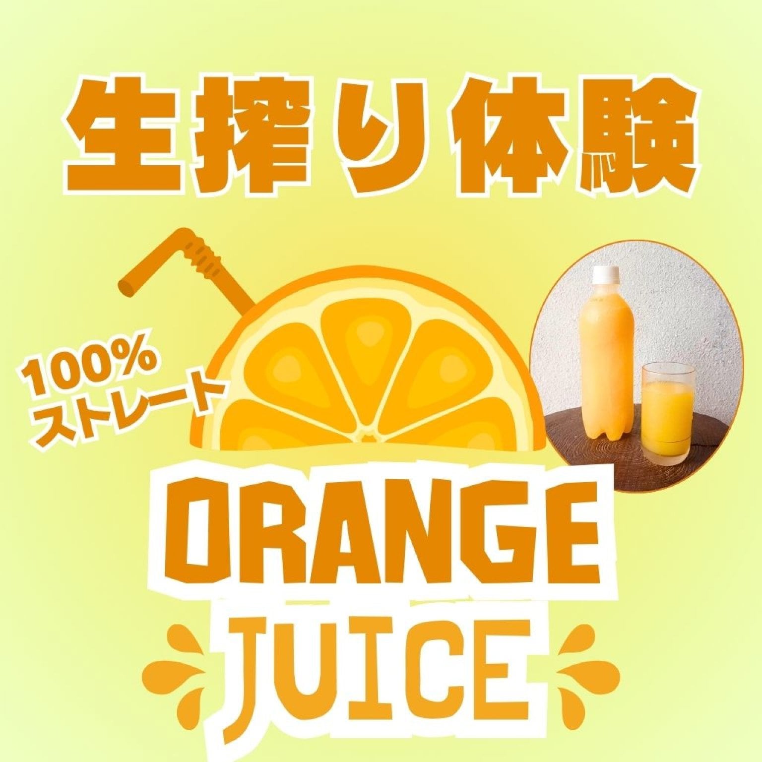 【高ポイント】甘夏100％ストレートジュース！ 生搾り体験チケット ５００ｍｌペットボトル１本分 千葉...