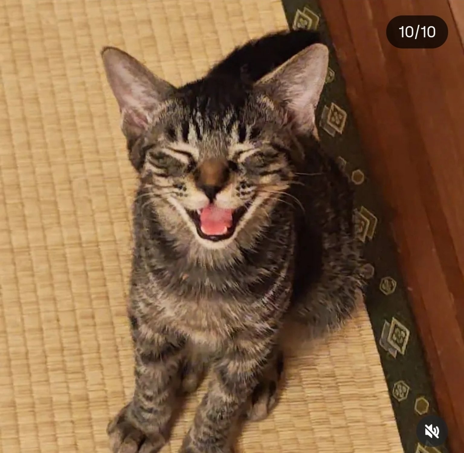 そらまめの家の応援