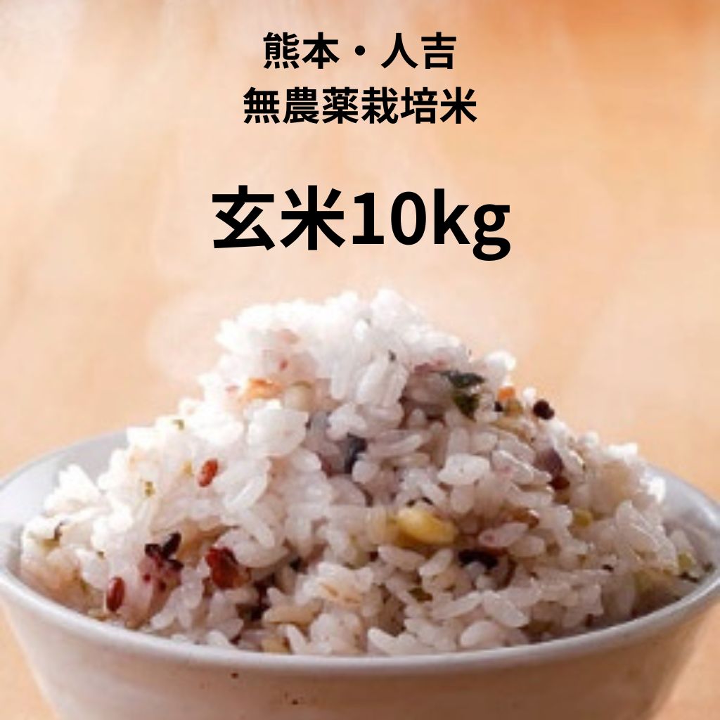2025年米無農薬（ヒノヒカリ）熊本県人吉産【玄米】 10kg|huukyan 林ん