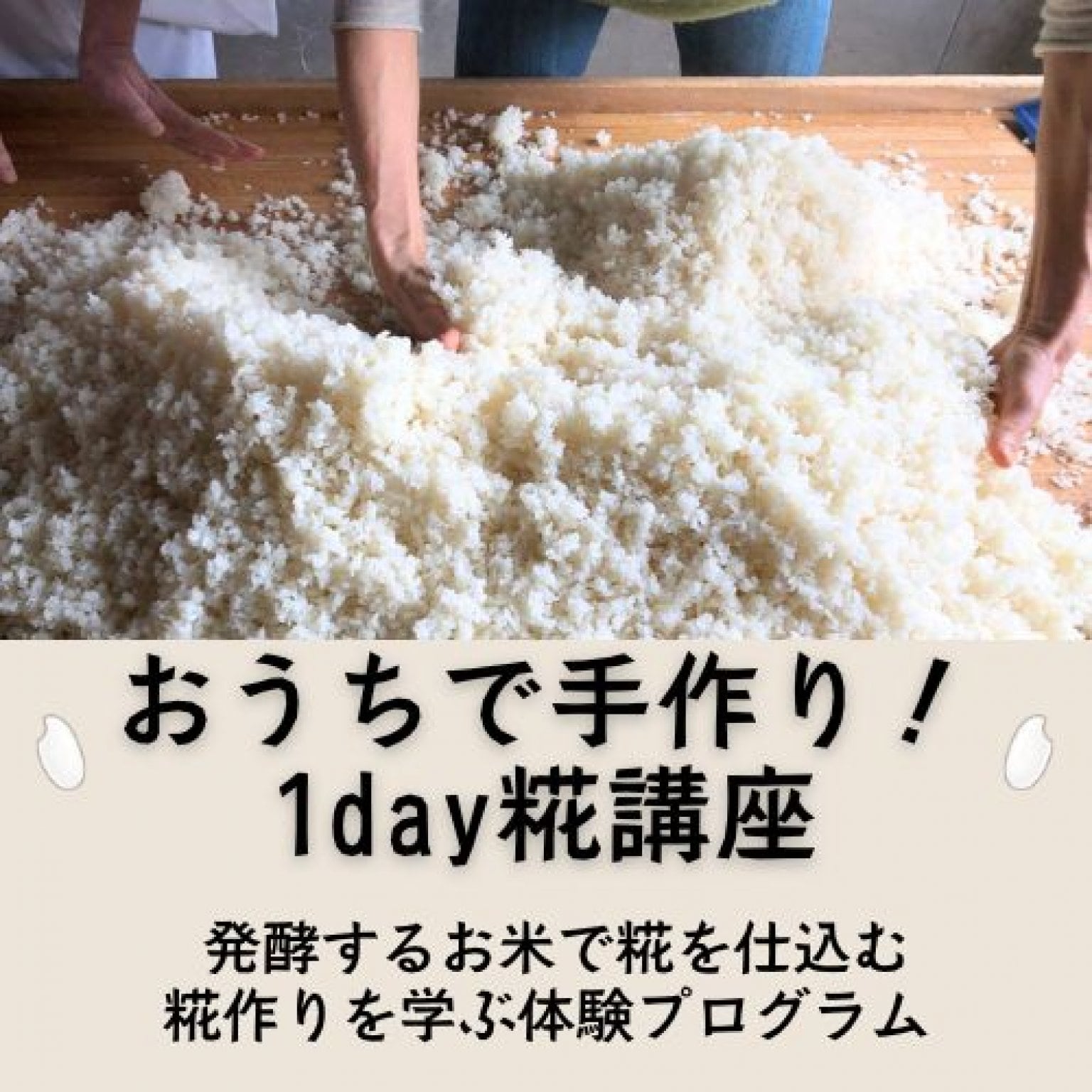 3月14日(土)開催 　『おうちで手作り！ 1day糀講座』1日で麹仕込み 東京都葛飾区 こうじ仕込み 麹調味料 ワークショップ 【前払い銀行振込のみ対応】