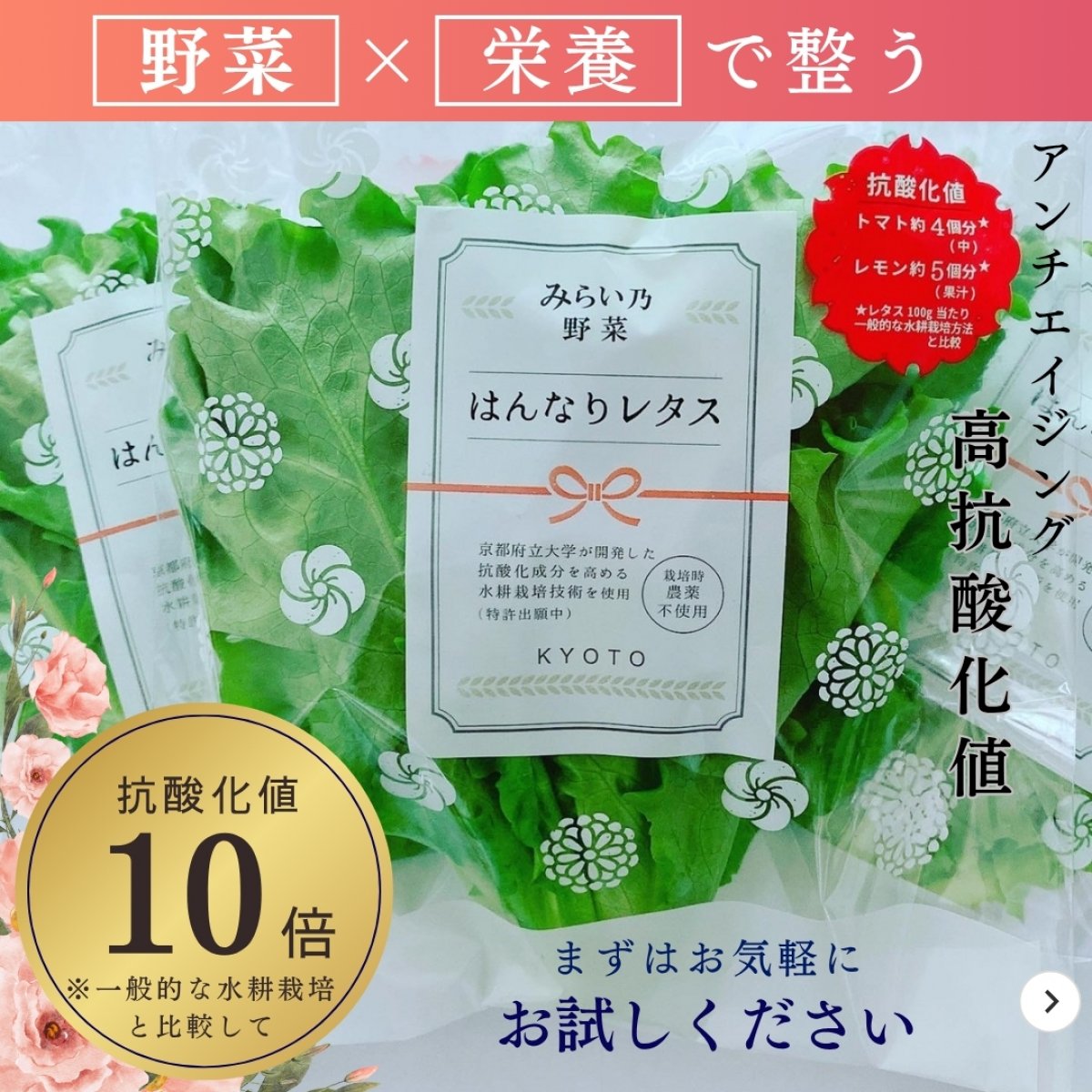 ツクツク!!!通販