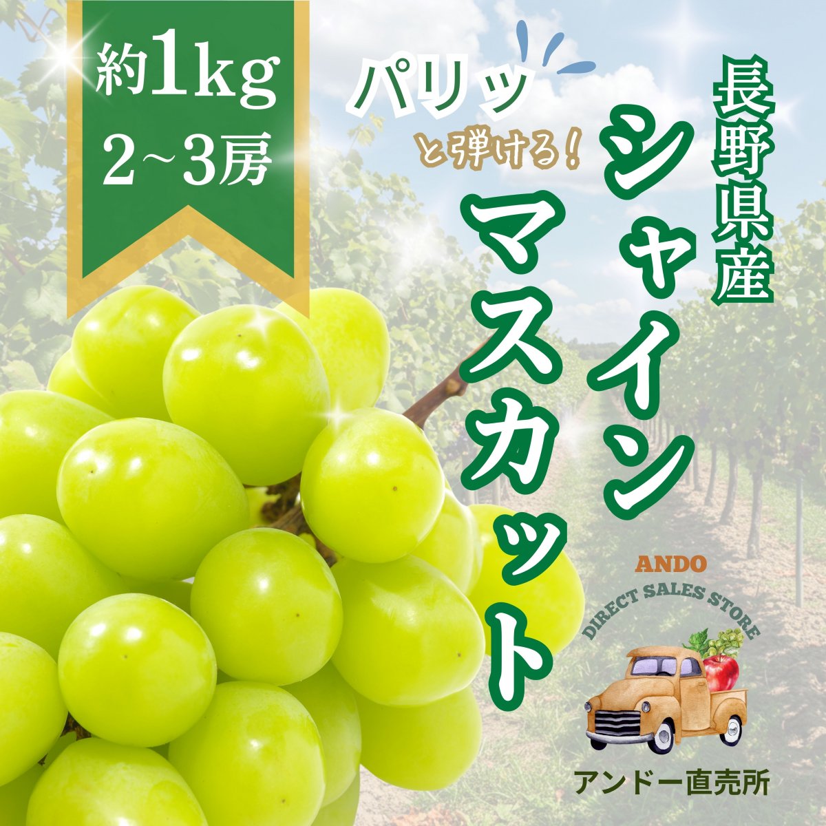 シャインマスカット【約1kg／2〜3房】長野県長野市産ぶどう