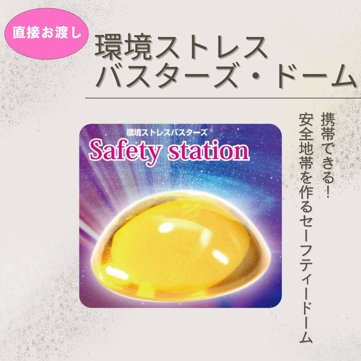 【直接お渡し】【特別ポイントプレゼント】【銀行振込でポイントプレゼント】環境ストレスバスターズ・...