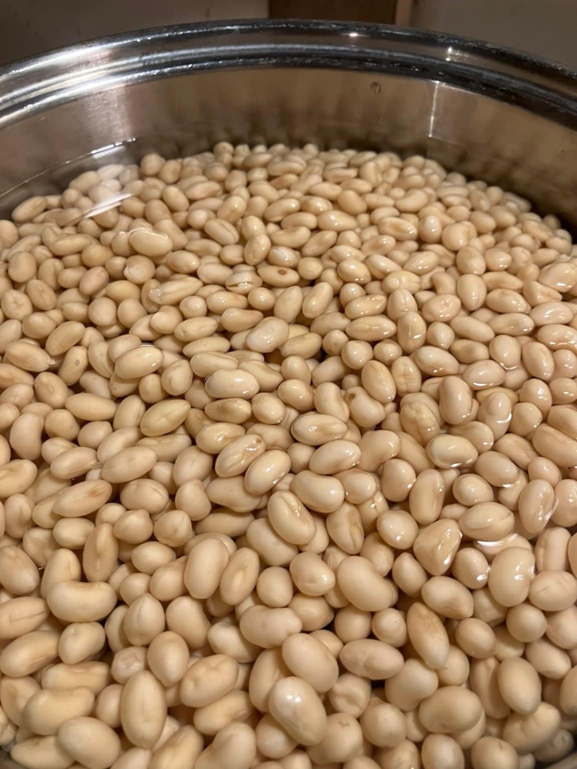 手作り味噌ワークショップ