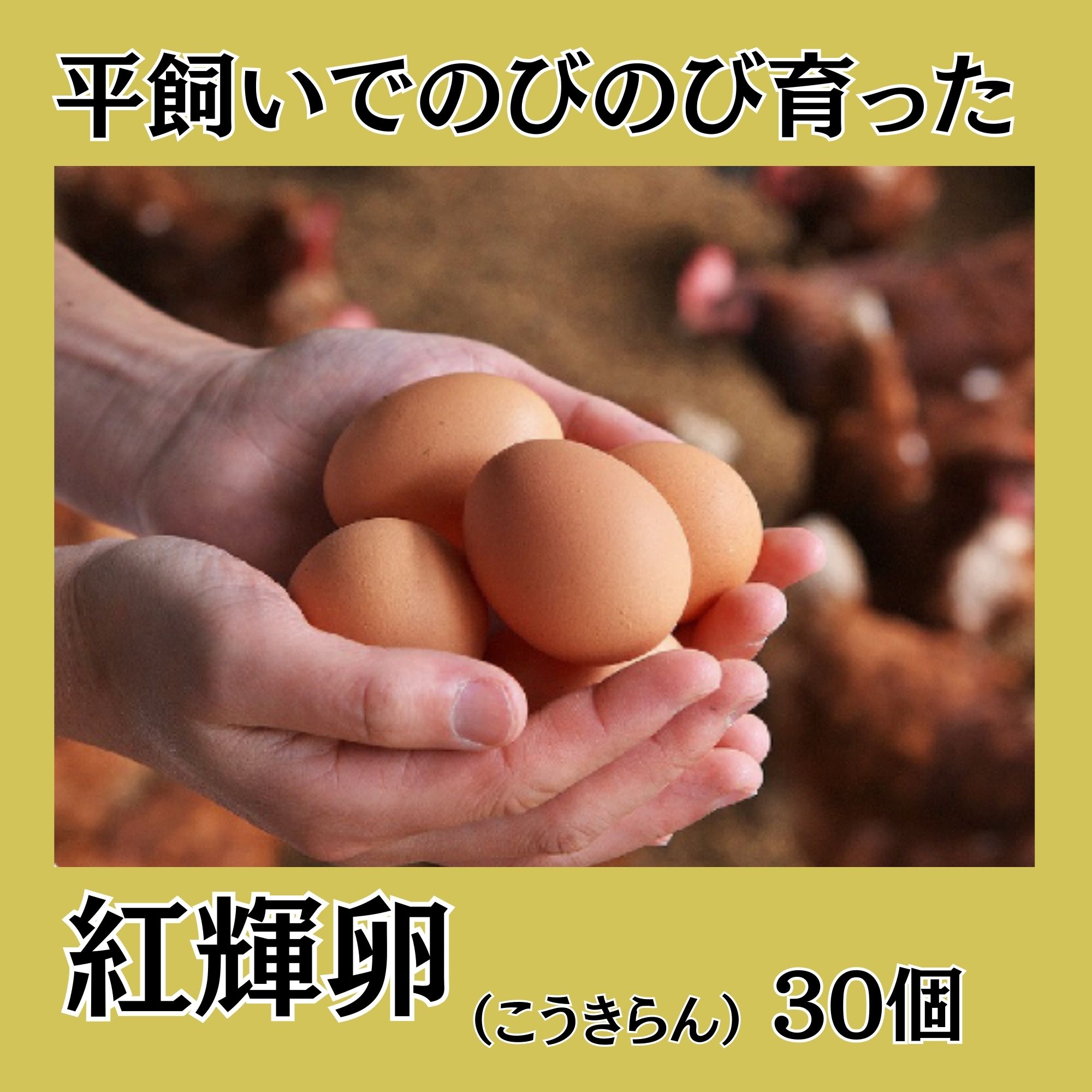 超高級鶏卵 高品質健康志向 平飼いでのびのびと育った鶏が生んだ卵「紅