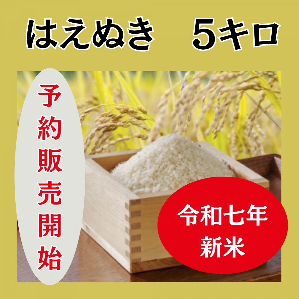 はえぬき ５キロ（玄米・白米）・令和７年産【新米・予約販売】