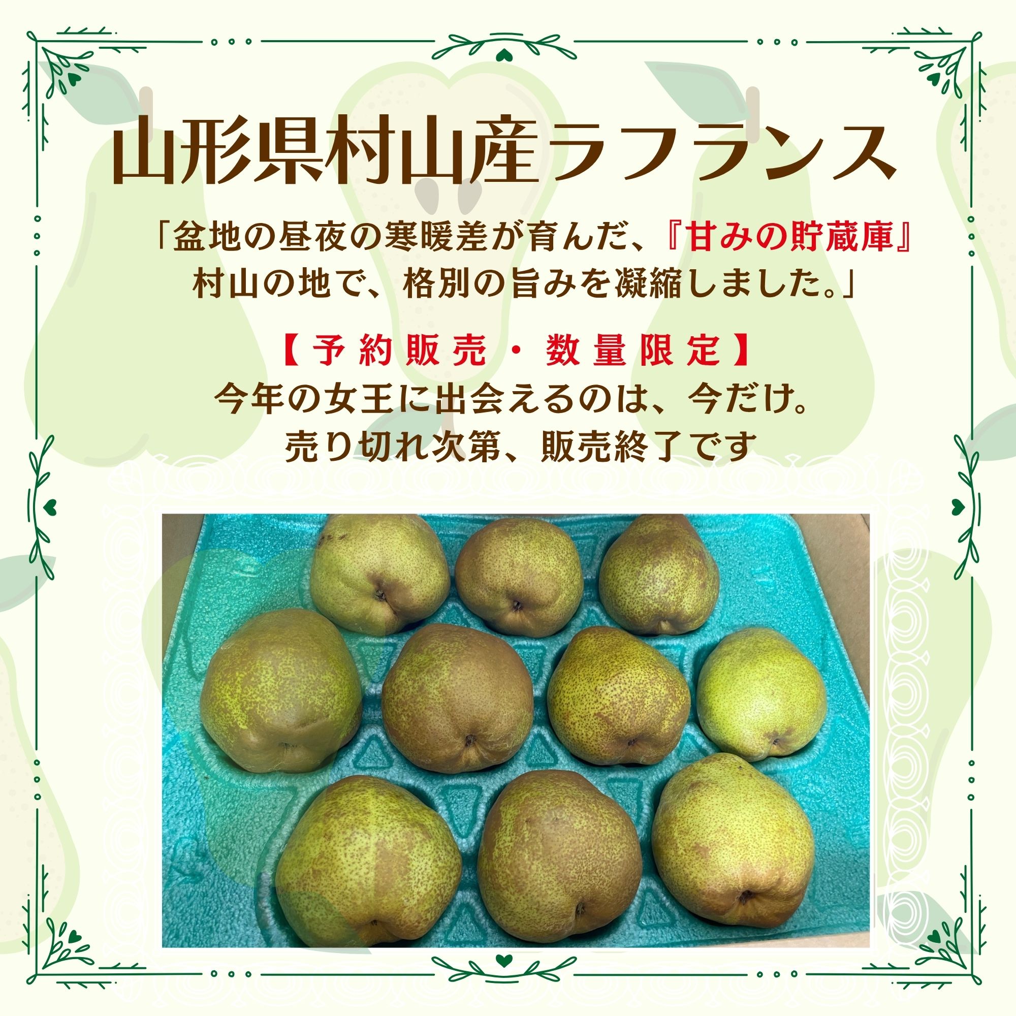 予約販売開始】山形県特産 西洋梨の女王 ラ・フランス3キロ（約8玉