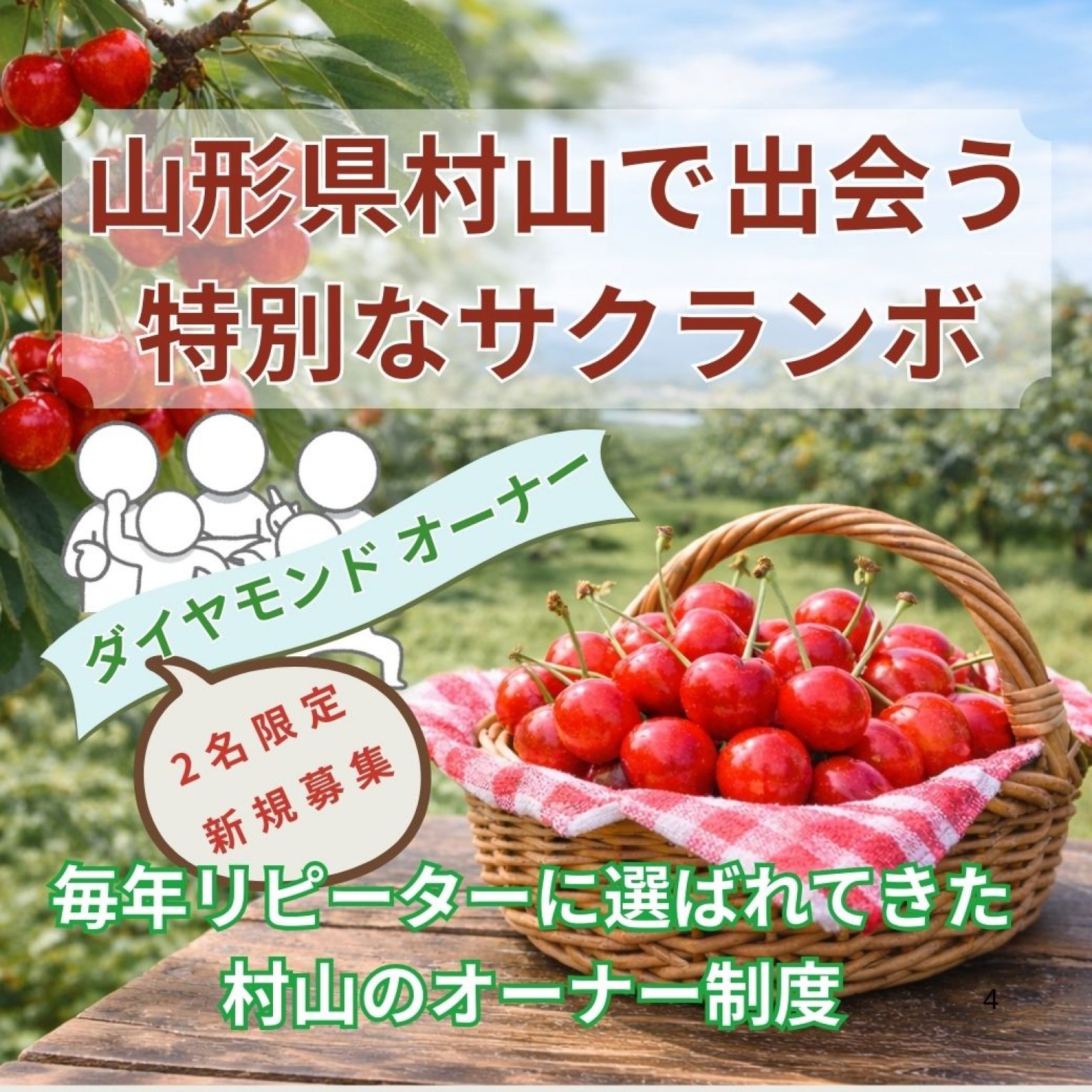 【新規募集・ダイヤモンドオーナー】 山形県村山市 サクランボの木オーナー「実る時間ごと、手に入れる」