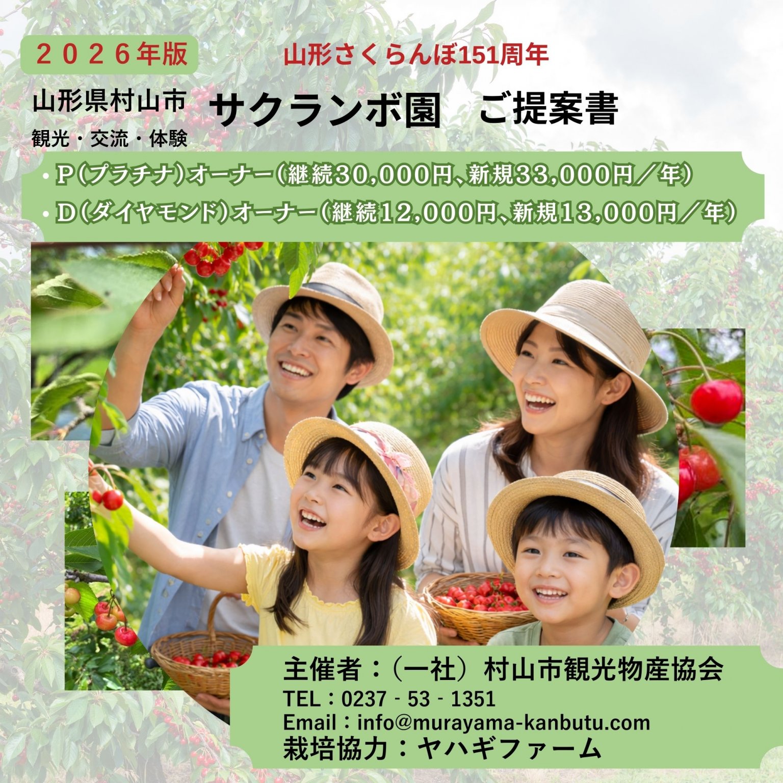 【ダイヤモンド会員・リピーター様用】 山形県村山市 サクランボの木オーナー「実る時間ごと、手に入れる。」