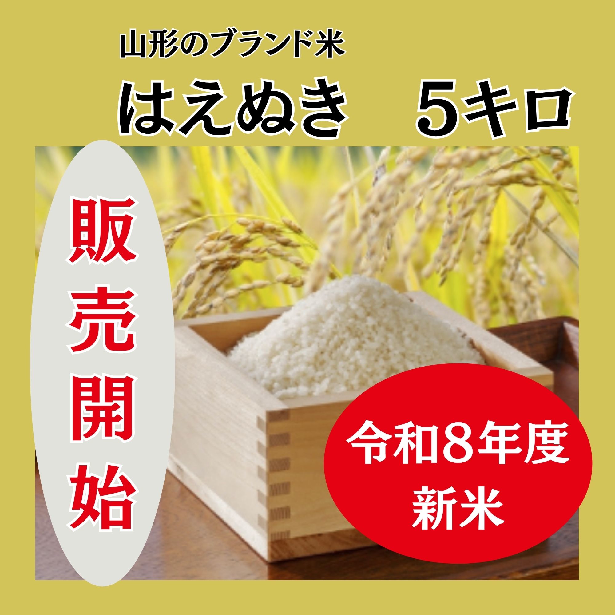 数量限定販売】令和8年産【新米】はえぬき（特A米） 5キロ（玄米