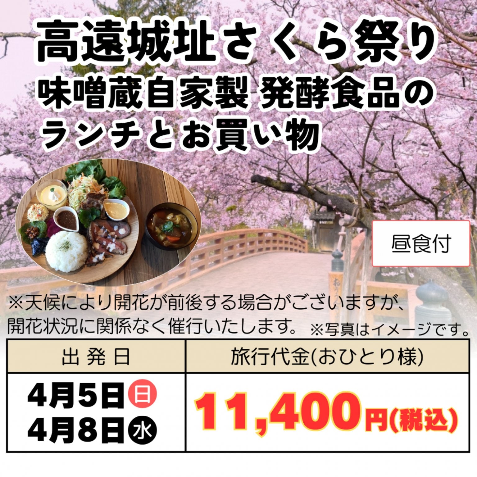 日帰りバスツアー【高遠城趾さくら祭り】自家製発酵食品ランチとお買い物 出発日:4月5日(日)、8日(水) 信州観光バス