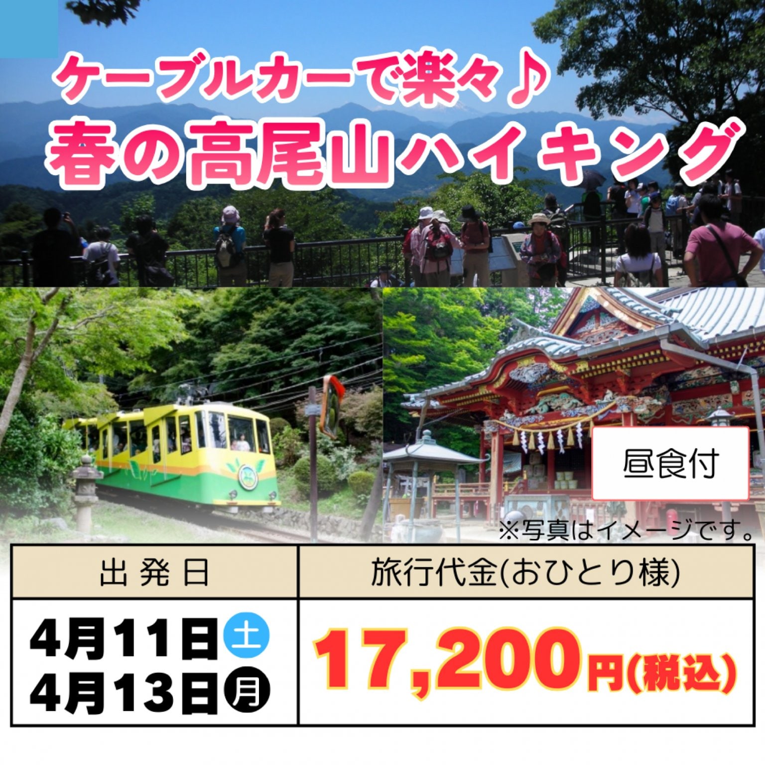 日帰りバスツアー ケーブルカーで楽々♪【春の高尾山ハイキング】 出発日:4月11日(土)、13日(月) 信州観光バス