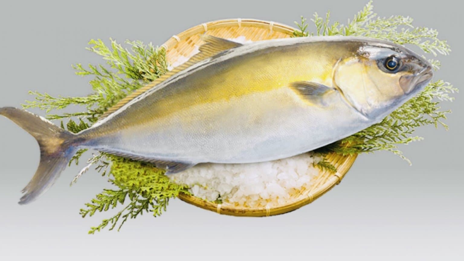 スタートキャンペーン！鹿児島産の魚（カンパチ・鯛・ブリなど）のカッティング・デモストレーション（解体ショー）　令和8年3月までに延期！