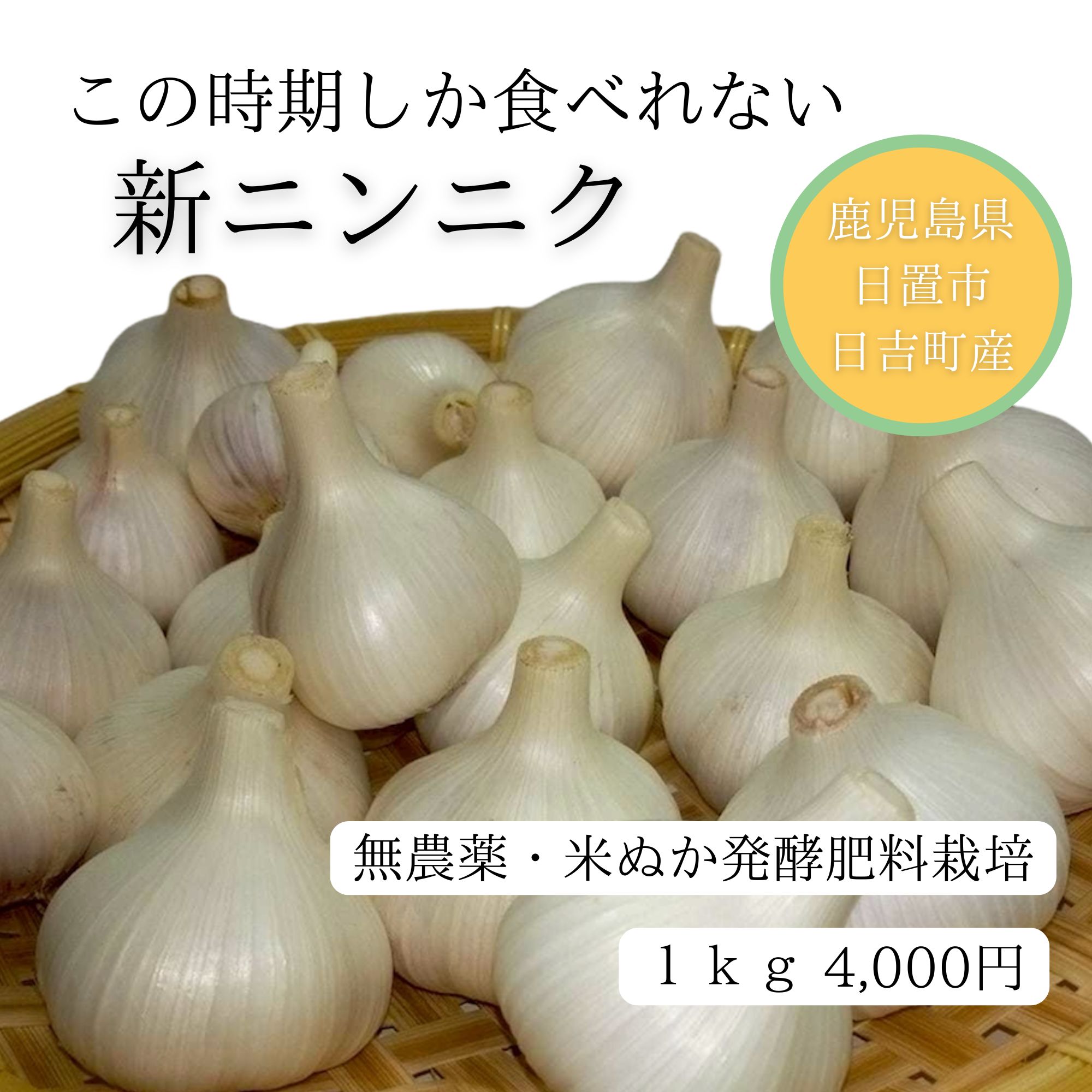 ニンニク無農薬５キロ 楽天市場】ジャンボにんにく 5kg 無農薬 匂いが少ない 無臭にんにく