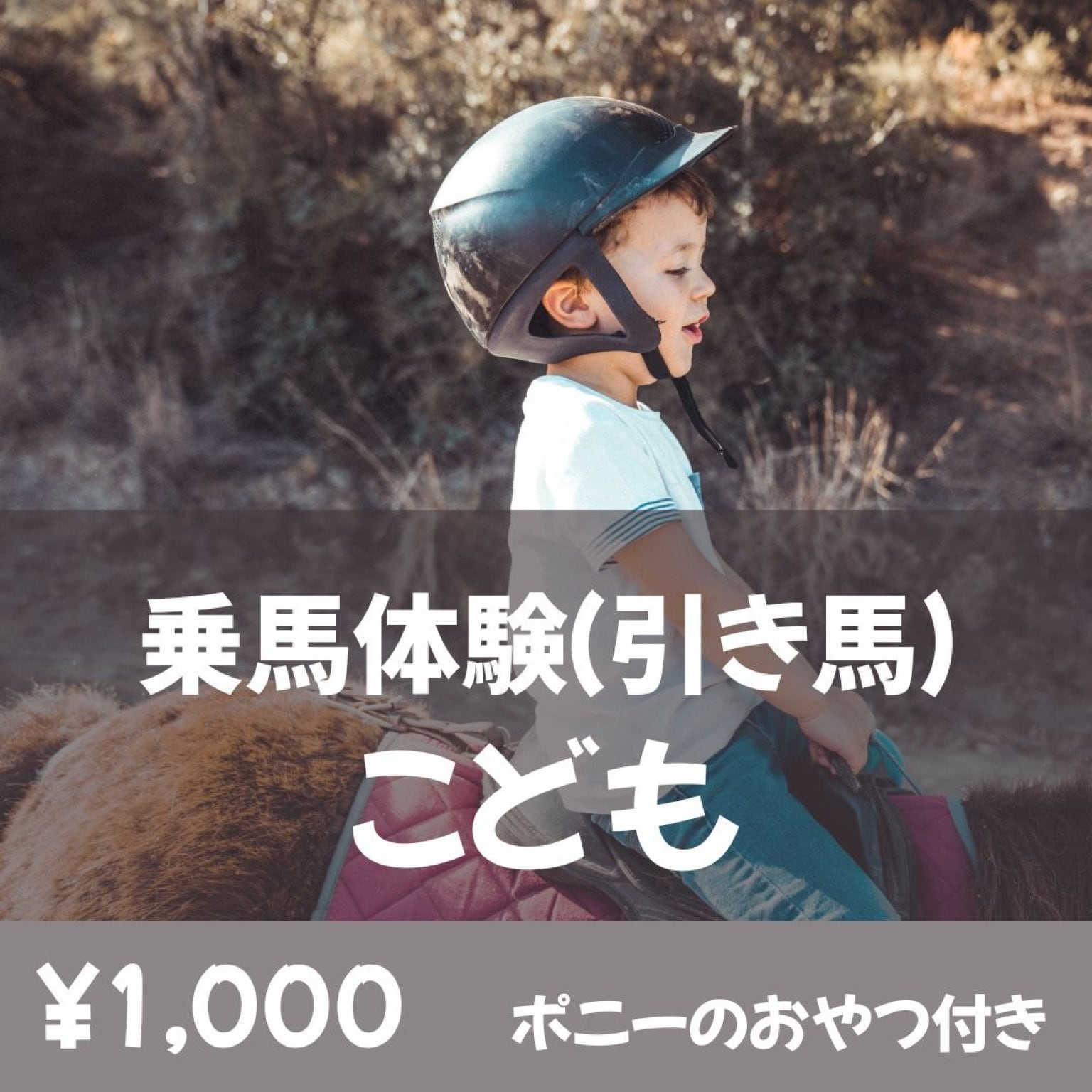 乗馬体験_引き馬　こどもチケット（中学生以下）